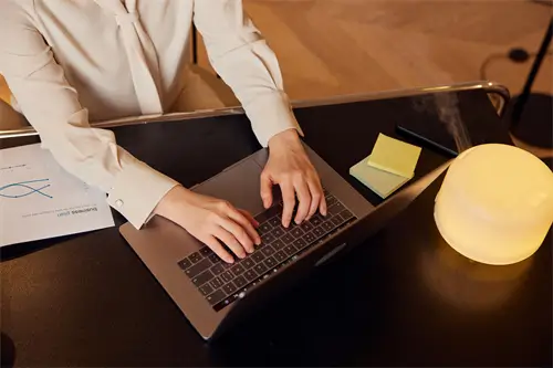 自制美食炒饭的做法